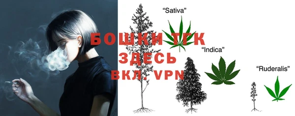 трава Балахна