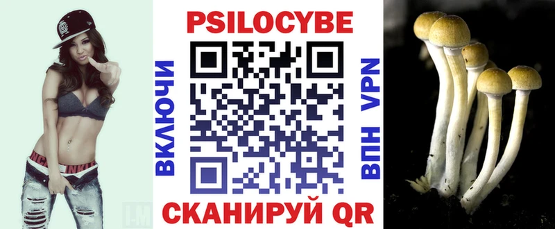 Псилоцибиновые грибы прущие грибы  Ессентуки 