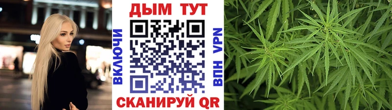 Бошки Шишки гибрид  цена наркотик  Ессентуки 